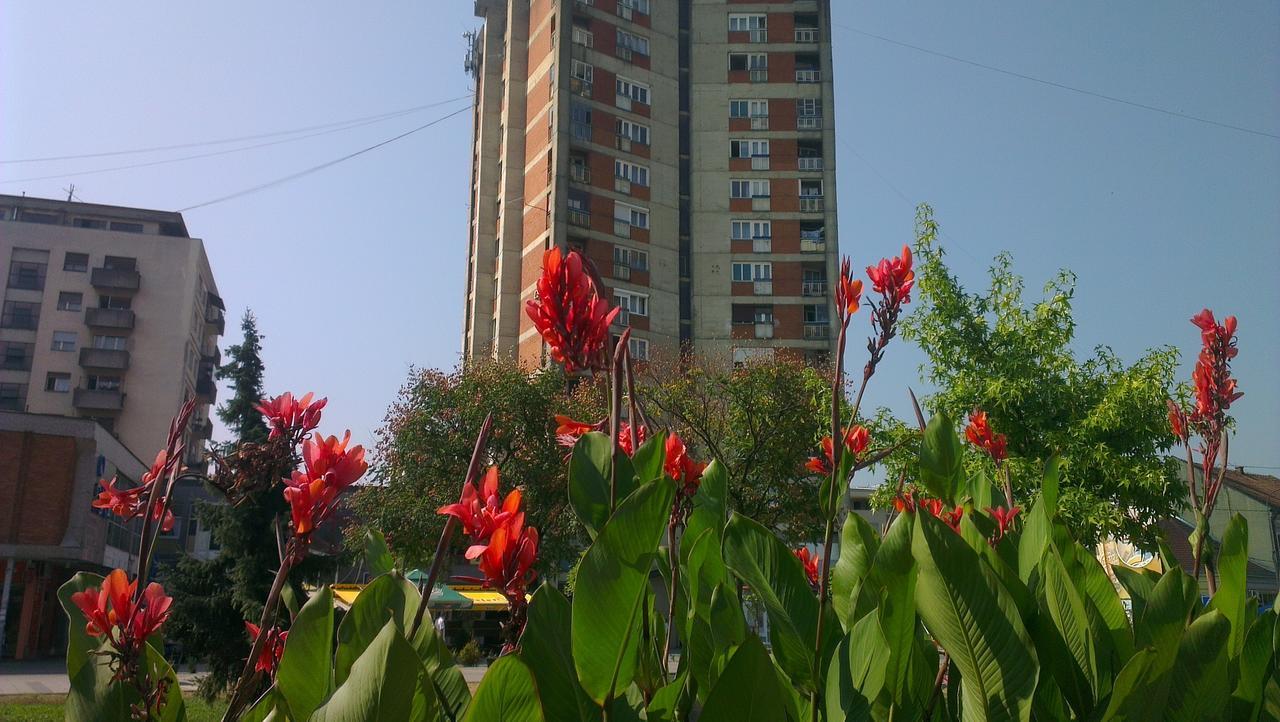Hotel Konaciste Trstenik Экстерьер фото